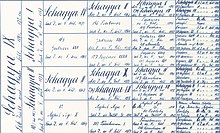 Pedigree of horse Shagya IX b. 1895 Pedigree-sh-1895.jpg