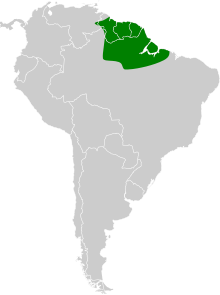 Guianan Red Cotinga Wikipedia