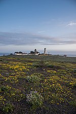 Thumbnail for File:Piedras Blancas Outstanding Natural Area, part of the California Coastal National Monument (41748520165).jpg