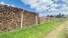 Piles of chopped dry ecalyptus wood in near Igara Secondary school near Butare town in Bushenyi district in Western Uganda