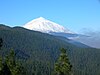 Corona Forestal Natural Park, with a snow covered Mount Teide in the background.