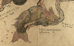 Piscis Austrinus - Mercator.jpeg