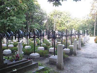 Поле поховань учасників повстання 1863 року
