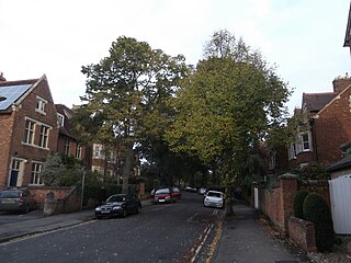 <span class="mw-page-title-main">Polstead Road</span> Road in North Oxford, England