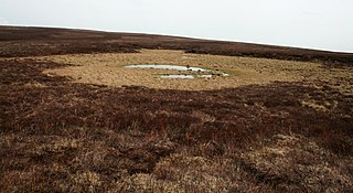 <span class="mw-page-title-main">Priest's Tarn</span> Upland lake in Yorkshire, England