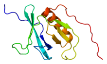 Protein CADPS PDB 1wi1.png
