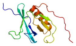 پروتئین CADPS PDB 1wi1.png