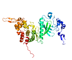 Ақуыз DYRK2 PDB 3K2L.png