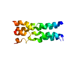 Ақуыз FXYD1 PDB 2J1I.png