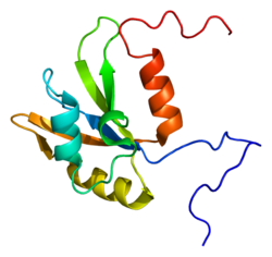 Протеин HNRPF PDB 2db1.png