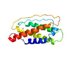 Białko IL7 PDB 1IL7.png