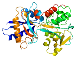 Proteino TF PDB 1a8e.png