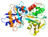 Protein TF (from TF gene) Protein TF PDB 1a8e.png