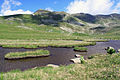 One of many ponds under Qelepina mountain ranges that are located in the upper Shutman area in the outskirts of Brod in Dragash