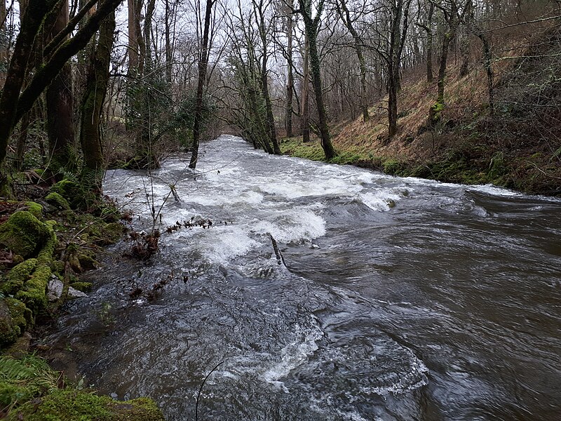 File:Río Umia a su paso por Rivela.jpg