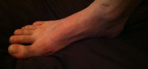 English: Foot. Mainly used for walking and kic...