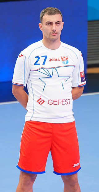<span class="mw-page-title-main">Rajko Prodanović</span> Serbian handball player