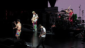 Red Hot Chili Peppers: Storia, Stile ed influenze, Altre attività