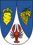 Coat of arms of Řepiště