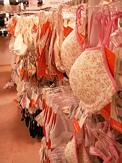 Bra womans undergarment