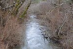 Thumbnail for Rogue River (South Yamhill River tributary)