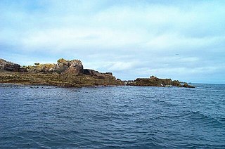 <span class="mw-page-title-main">Rosevear</span> Island in the Isles of Scilly, United Kingdom