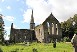 Ruins of St Marys Church, New Ross.jpg