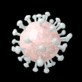 فيروس كورونا المستجدّ 　　新型コロナ ウイルス
