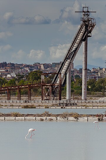 Stagno di Cagliari, Saline di Macchiareddu, Laguna di Santa Gilla