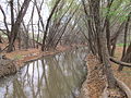 Thumbnail for Santa Cruz River (Arizona)