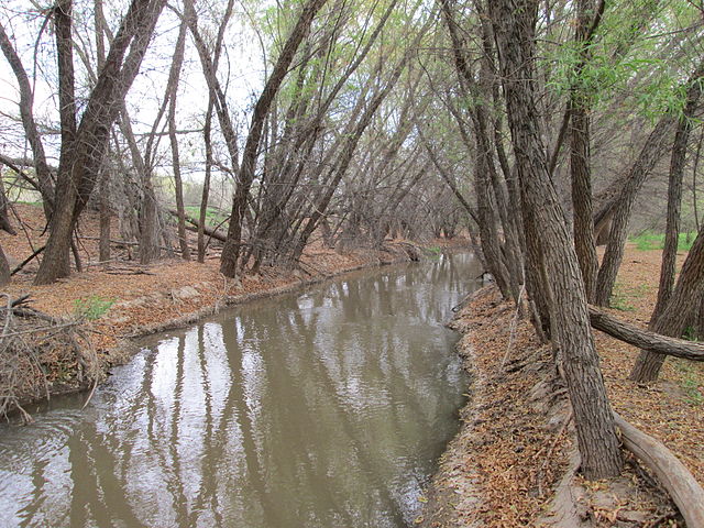 The Santa Cruz River near Red Rock.