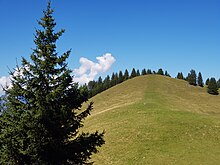 Saroja Gipfel vom Sattelköpfle aus gesehen