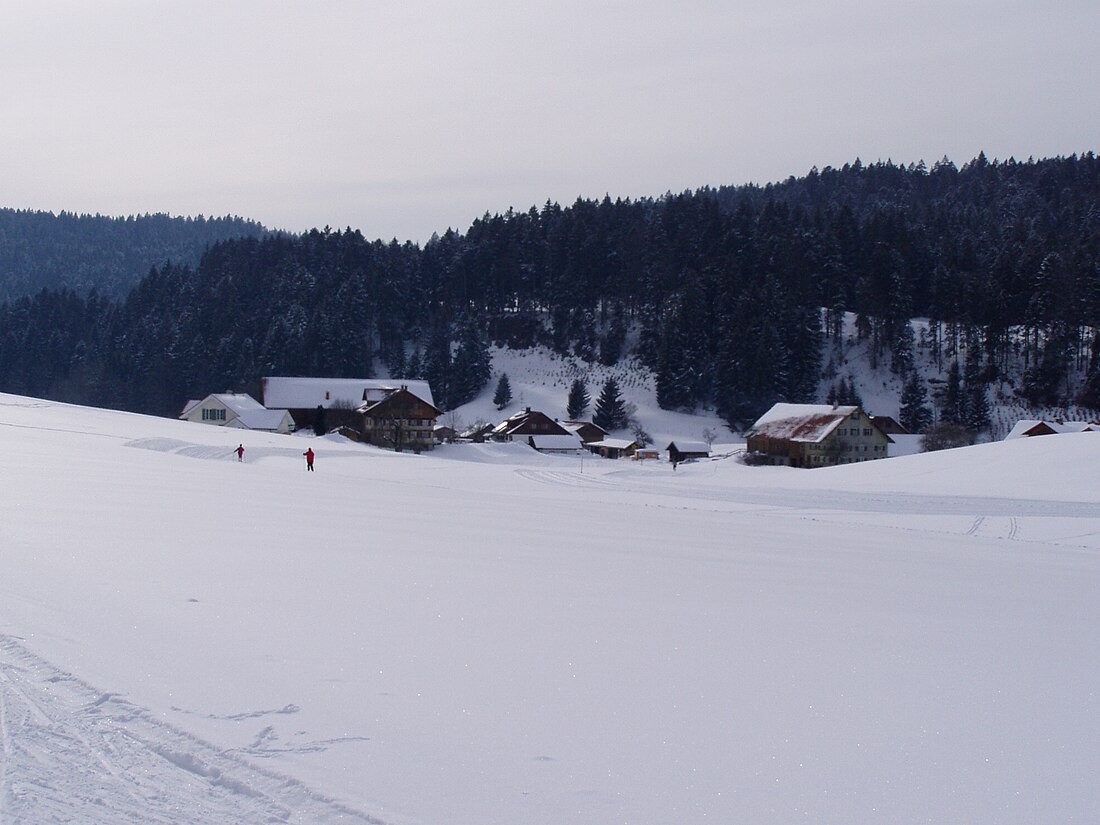 File:Scheidegg - Oberstein-Loipe - Oberstein v NO.jpg