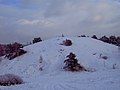 Blick auf den Schlangenberg im Februar