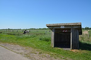 Schleswig-Holstein, Hennstedt, Landschaftsschutzgebiet Hennstedter Moor NIK 2658.jpg