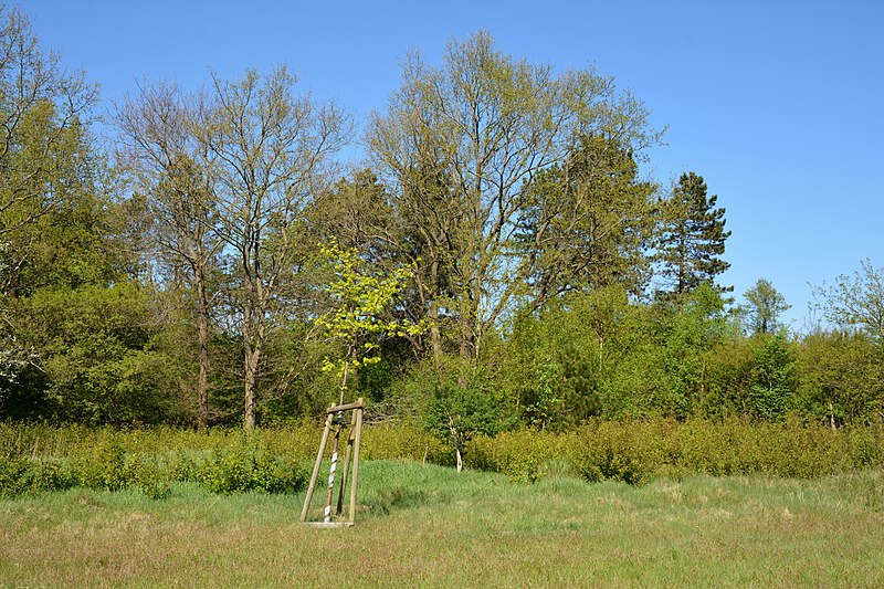 File:Schleswig-Holstein, Süderlügum, Naturerlebnisraum Posberg NIK 1970.jpg