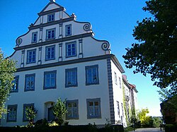 Tapfheim Sarayı