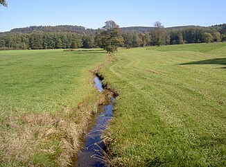 Schwarzbach near Höll