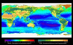 Seawifs global biosphere Centered on the Pacific.jpg