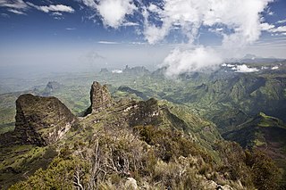 <span class="mw-page-title-main">Ethiopian Highlands</span> Mountain range in northern Ethiopia