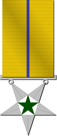 File:Senior Admin 3C Medal.svg