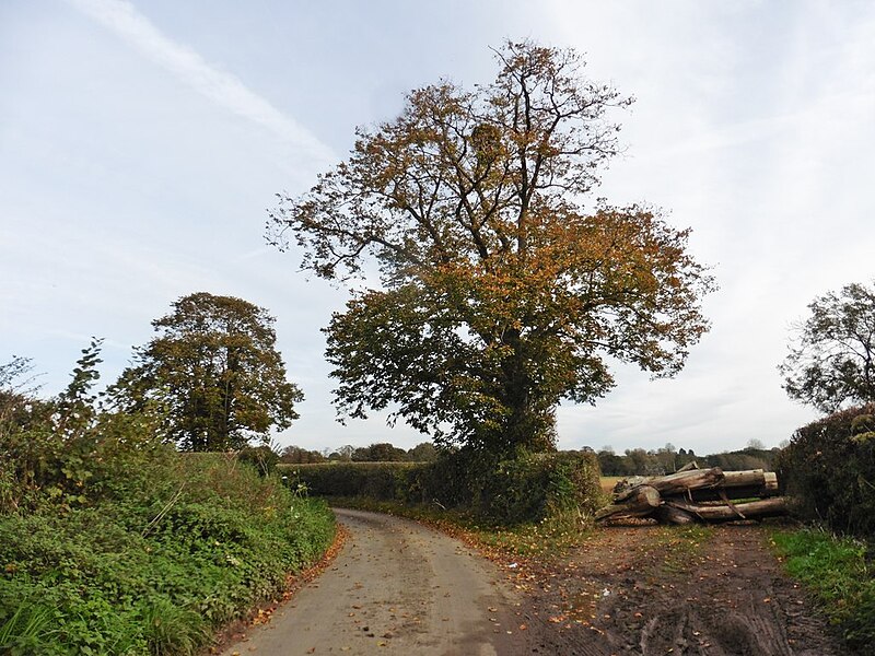 File:Sharp bend on Marsh Lane - geograph.org.uk - 5587251.jpg