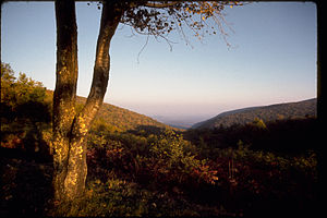 Shenandoah National Park SHEN9186.jpg