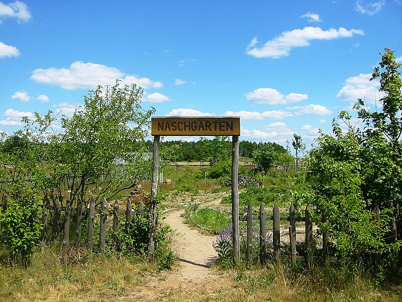 File:Sielmanns Naturlandschaft Wanninchen Naschgarten.jpg