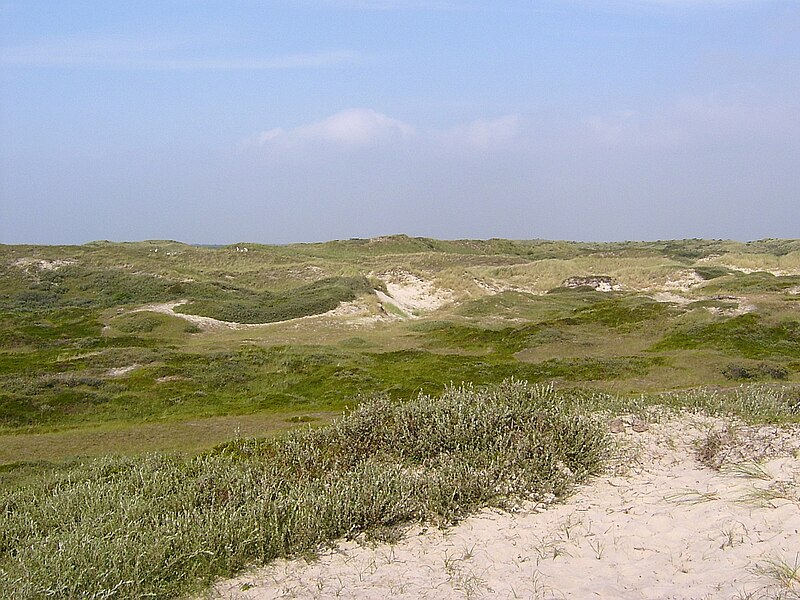 File:Sint martenszee dune.jpg