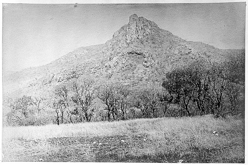 File:Sir David Bruce, photograph album, Zululand 1894-1896 Wellcome L0022649.jpg