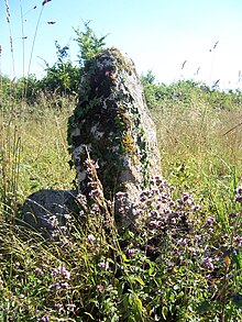 Site des 3 bornes.jpg