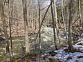 * Nomination Spencer Creek at the Spencer Gorge / Webster's Falls Conservation Area, Ontario, Canada. --Óðinn 00:57, 4 December 2015 (UTC) * Promotion Good quality. --Johann Jaritz 06:57, 4 December 2015 (UTC)