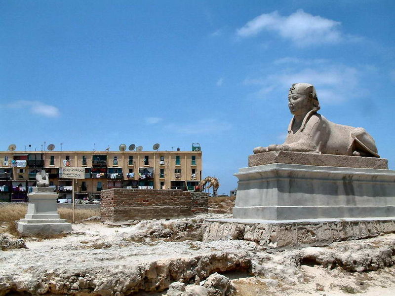 صورة:Sphinx Alexandria.jpg