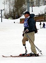 Vorschaubild für Skisport